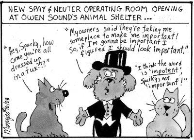 spayandneuteringcartoon-1.jpg